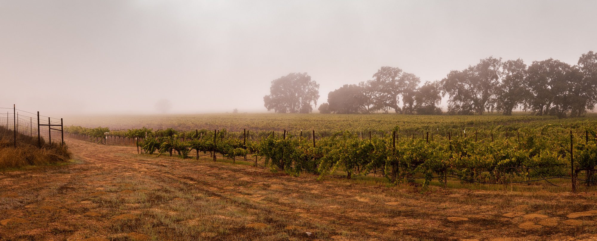Repuation Labels Reputation | Signature Wine Labels at Acclaimed Wine Company