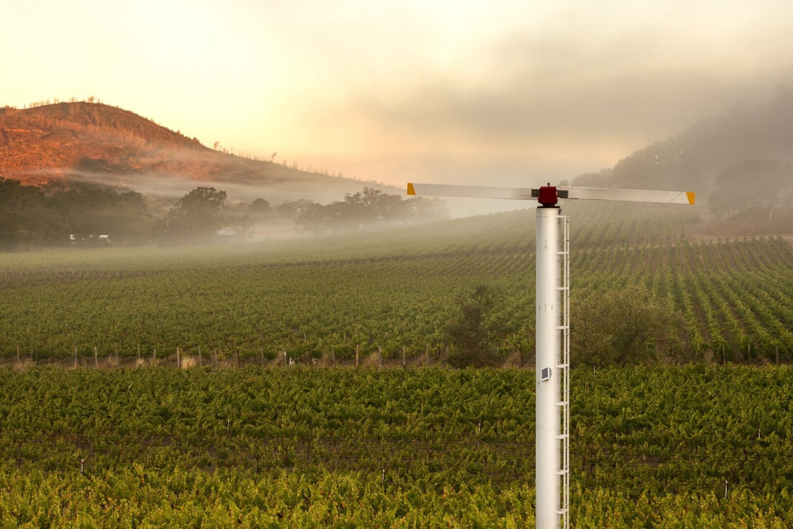 Wind turbine in a foggy vineyard landscape.
