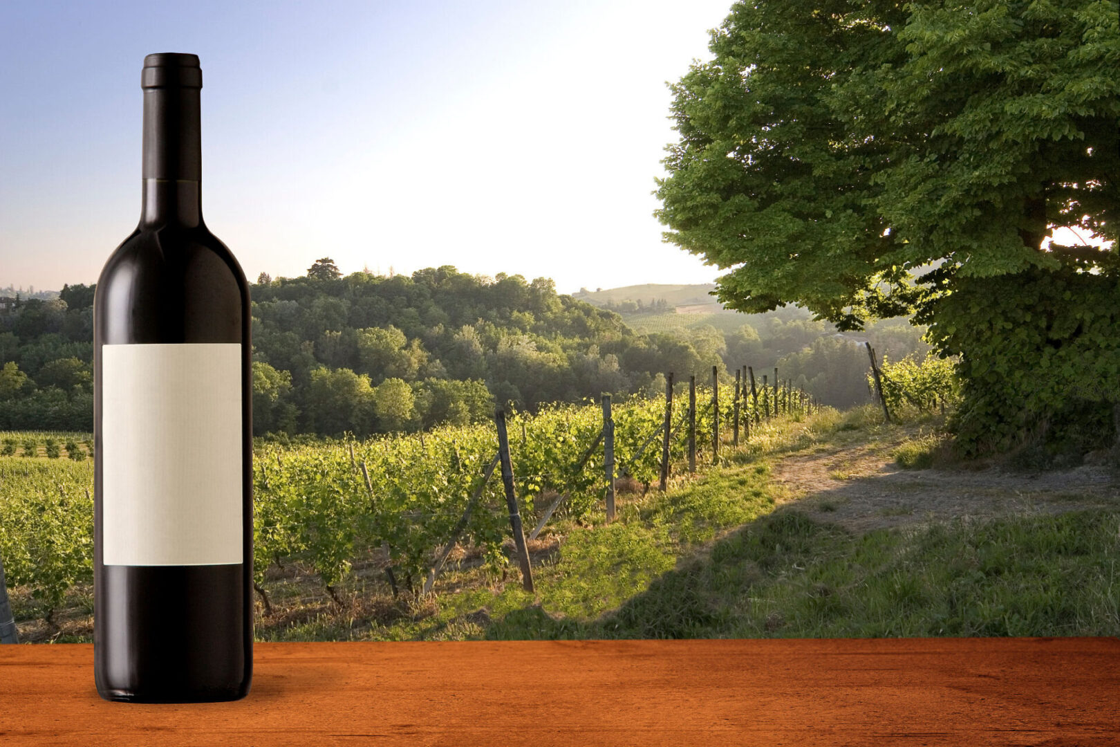 Wine bottle with vineyard background.
